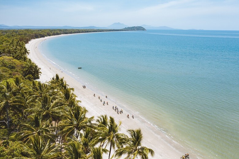 Strand in Australien mit Palmen