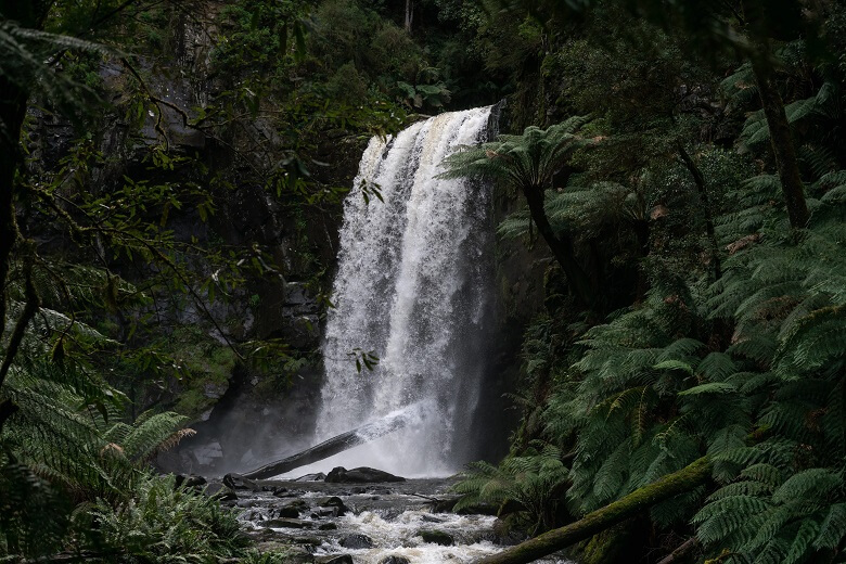 Wasserfall im Great Otway National Park in Australien