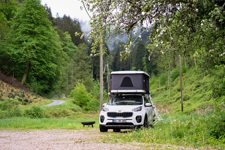 Camper auf einem Stellplatz im Schwarzwald 