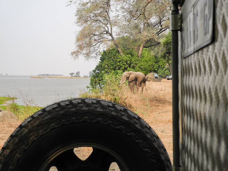 Elefant auf einem Campingplatz in Simbabwe